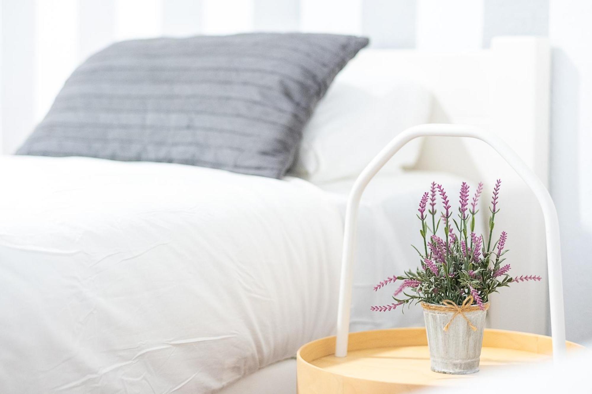 Apartamento New Folch Sevilla A エクステリア 写真